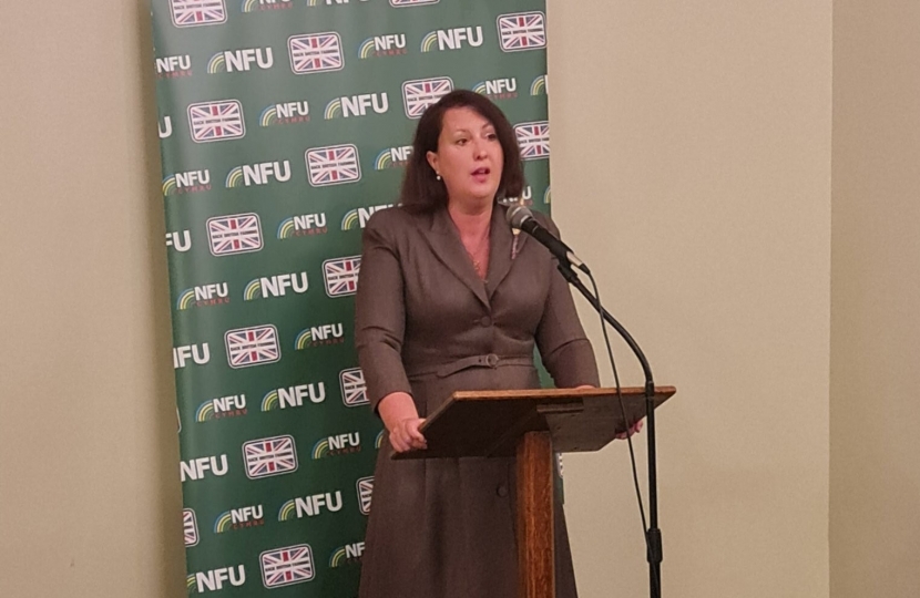 Victoria Prentis MP gives speech