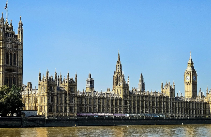 Houses of Parliament from Albert Embankment